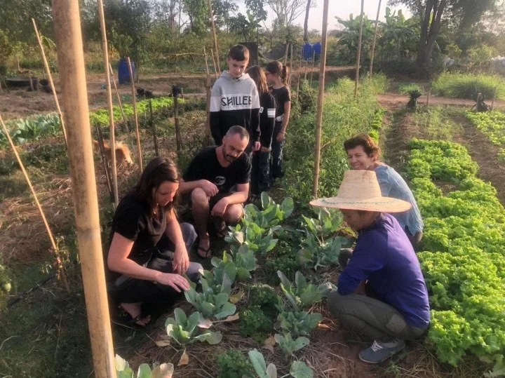 Vivre et apprendre dans une ferme bio, dans les champs, le potager