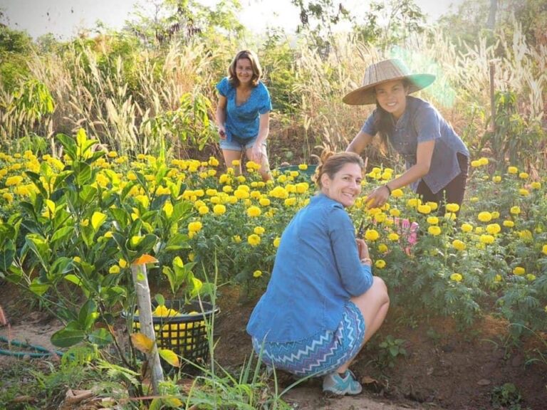 Le woofing en Thaïlande et plus particulièrement dans notre ferme-auberge, c’est aussi et avant tout des rencontres, des chemins qui se croisent...