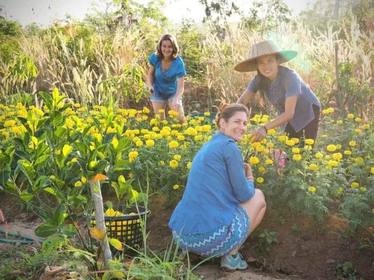 Le woofing en Thaïlande et plus particulièrement dans notre ferme-auberge, c’est aussi et avant tout des rencontres, des chemins qui se croisent...