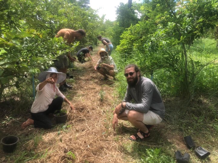Venez participer à nos ateliers sur la forêt comestible ou jardin forêt