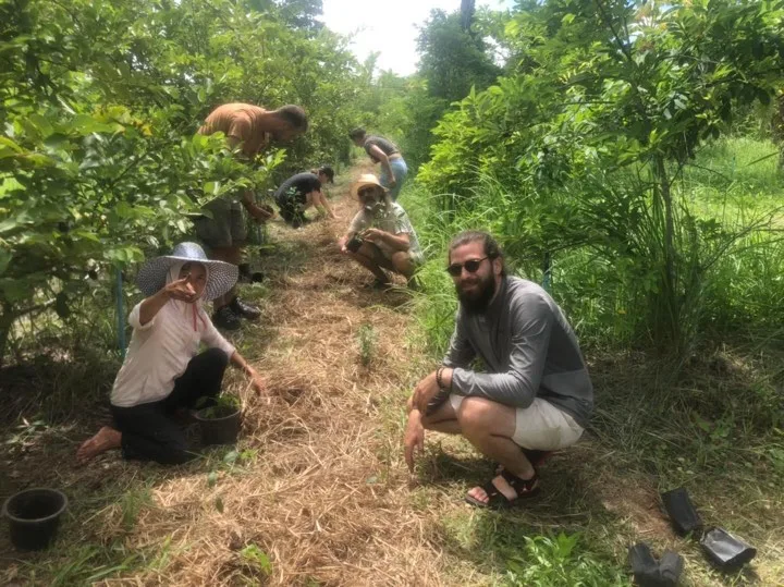 Venez participer à nos ateliers sur la forêt comestible ou jardin forêt