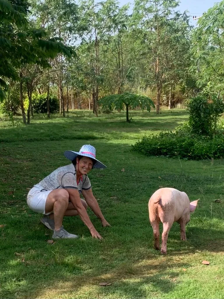 Les cochons sont des animaux propres, sensibles et attachants