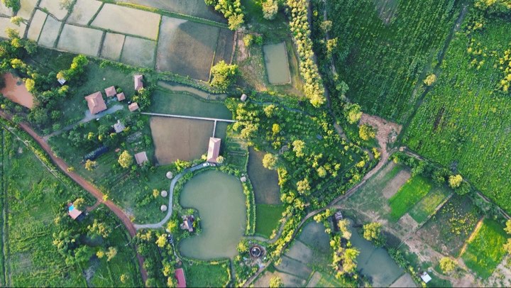 La « Suwan Organic Farmstay« , c’est un peu plus de trois hectares de pleine nature.