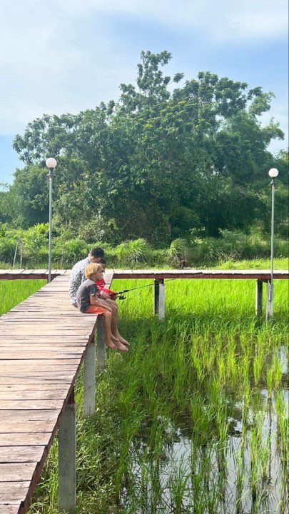 Dans les champs de riz thailandais, on peut aussi pêcher des poissons