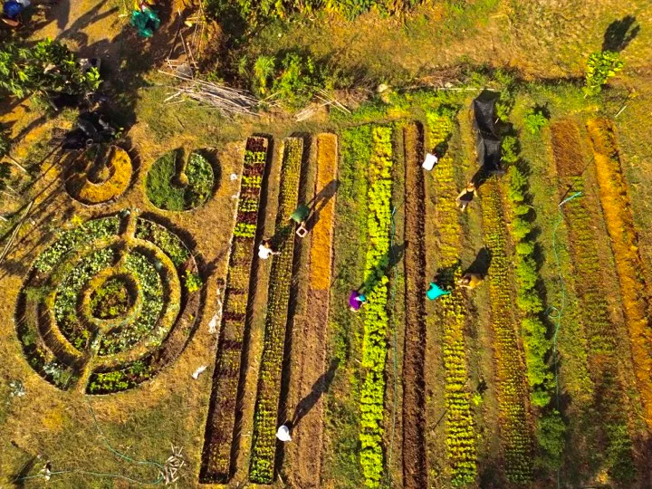 Les beautés de la nature en Thaïlande rurale