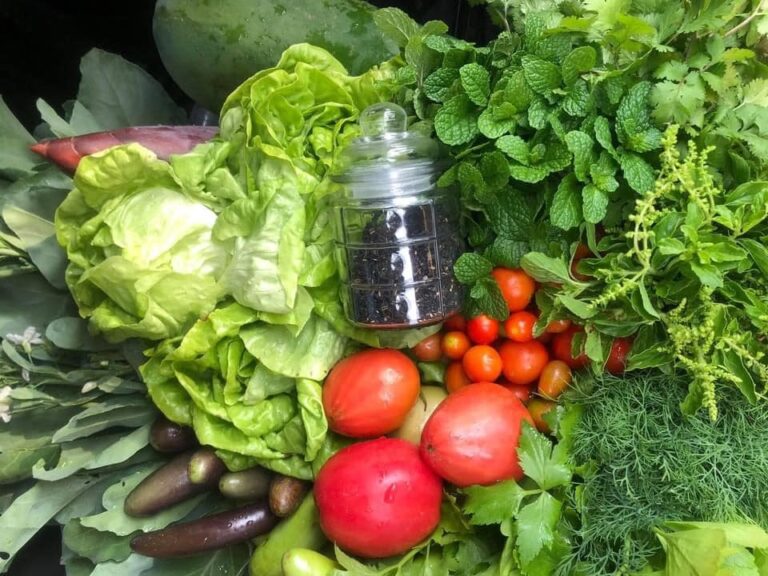 Les merveilleux produits frais de notre ferme !