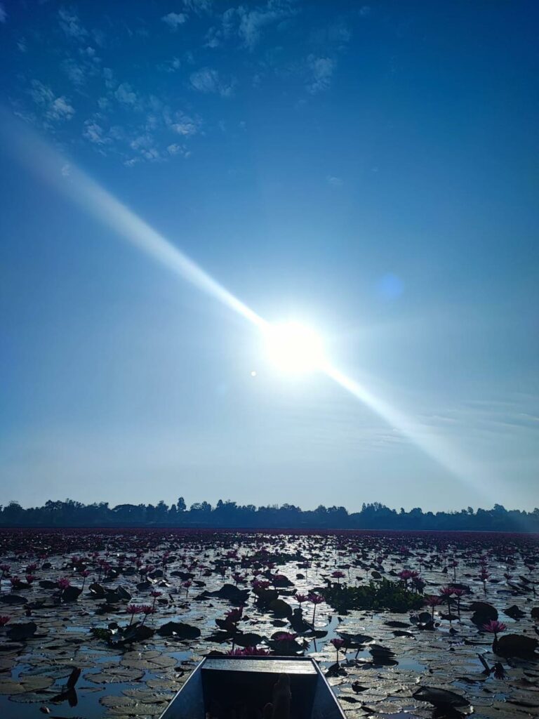 Wang Bua Daeng à l'aube