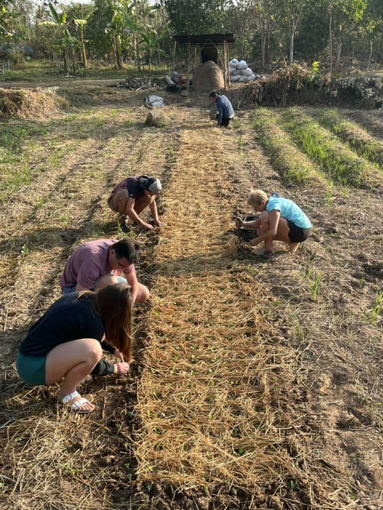 Initiation à l'agriculture naturelle et partage d'expériences