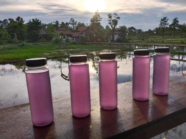 Une boisson aussi délicieuse que jolie !