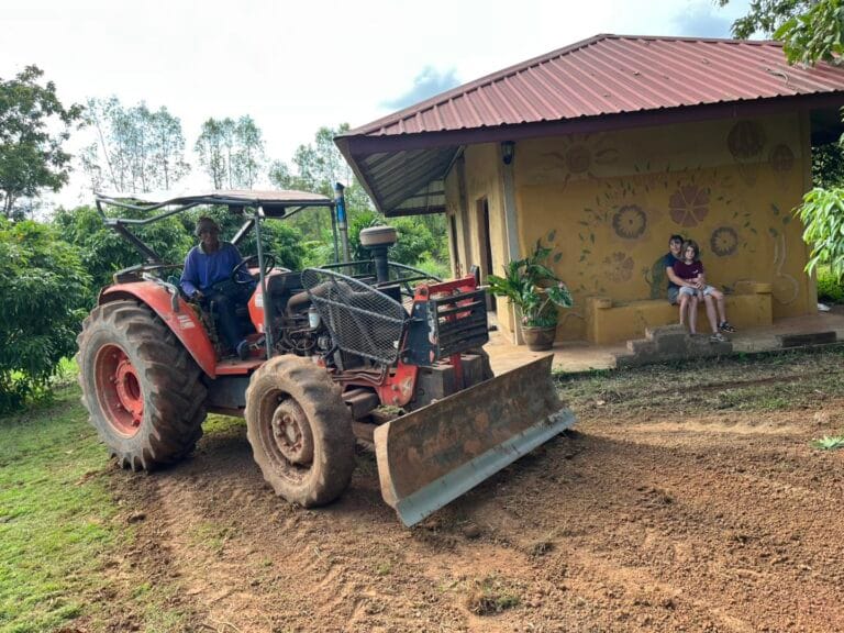 La vie de la ferme et nos bungalows en construction naturelle
