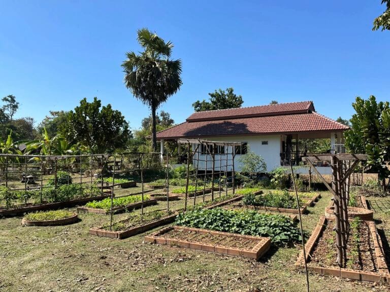 Notre potager offre différentes couleurs selon les saisons
