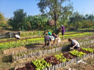 L’écotourisme, une philosophie de voyage respectueuse et enrichissante