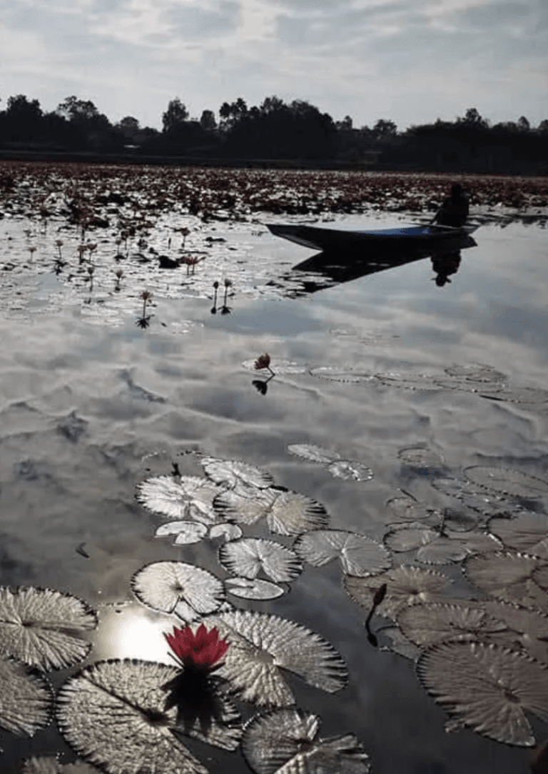 Ambiance du soir sur Wang Bua Daeng, Udon Thani, en Thaïlande