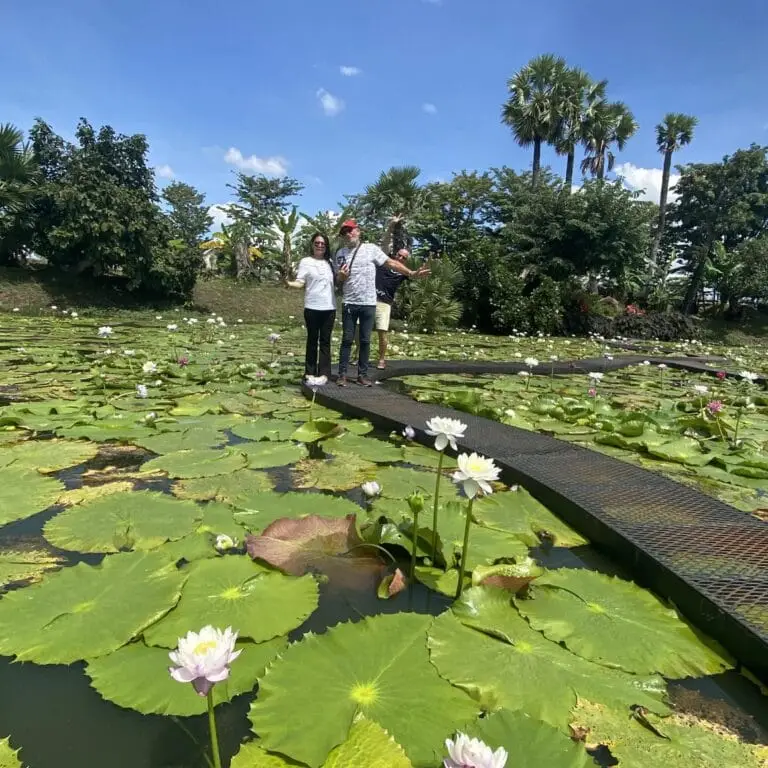 Le Nong Khai Giant Lotus Park, Thailand