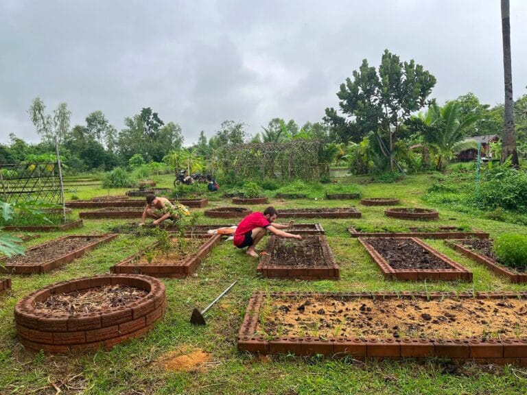 Le woofing en Thaïlande est peut-être l'expérience la plus authentique que vous puissiez vivre dans ce pays