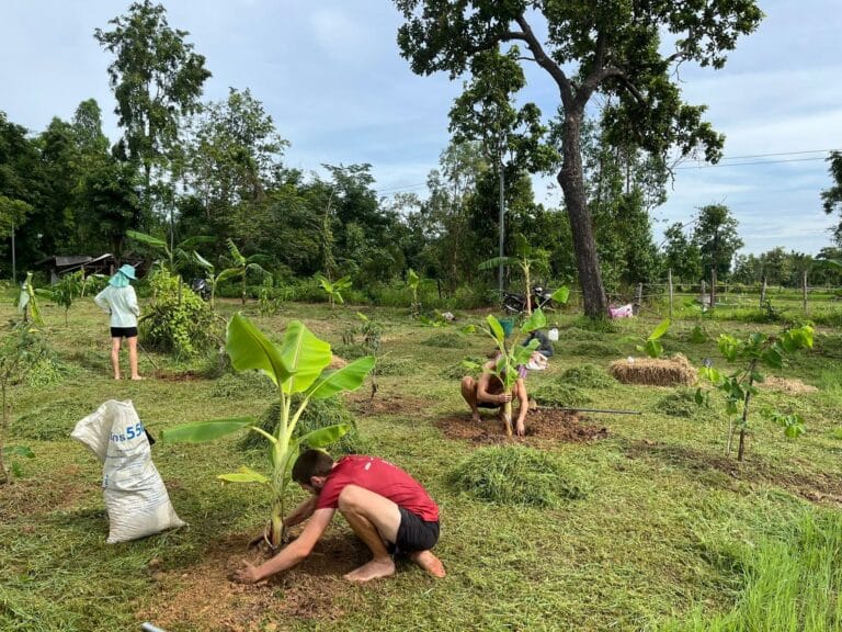apprenez des techniques d’agriculture biologique et de permaculture applicables partout dans le monde