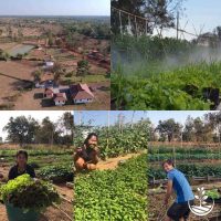 57226317_313644892641227_588150390562750464_n Stage de permaculture