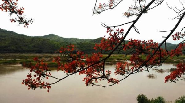 FB_IMG_1524699289658 Bueng Kaen Nakhon Lake