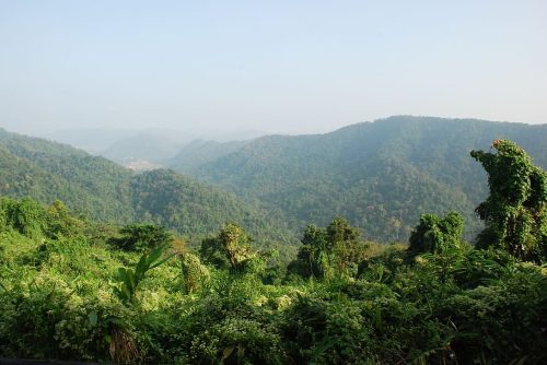 Khao Yai Manu Parc National de Khao Yai en Thaïlande